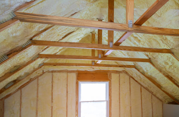 Best Cellulose Insulation in Fullerton, CA