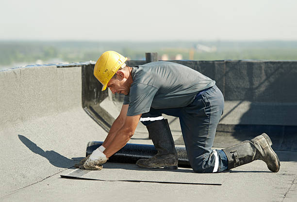 Best Cellulose Insulation in Fullerton, CA